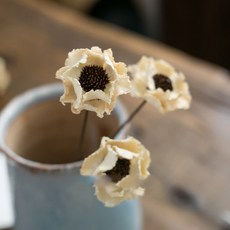 GAPANG 乾花花束 No. 02, 白色的