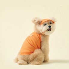 東元阿路路 狗狗愛心細肩帶背心, 1個, 橘色