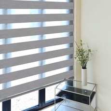 Winsketch Elite 遮光斑馬簾