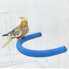 칠시 앵무새 발톱갈이 횃대 중형(19.5 x 15 x 2.3 cm), 블루, 1개