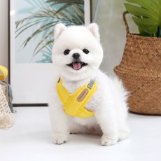 ParisDog 狗狗路易X胸背帶, 黃色