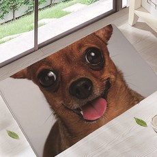 더플로우컴퍼니 얼라이브 도그 프린팅 현관매트, 010, 1개