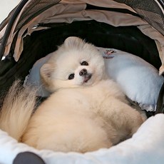 ITS DOG 寵物迪士尼寶貝朋友推車枕頭, 米奇, 1個