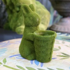 마크하스 계묘년 맞이 잔디 토끼 화분, 1개