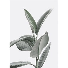 마켓에이 북유럽 내츄럴 코어 패브릭포스터 TYPE2