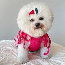 바이담수미 강아지 수박몸빼 올인원, 핑크, 1개