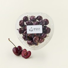 프리미엄 9R 칠레산 체리, 1개, 300g