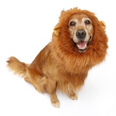 세이코코아 대형 강아지 사자갈귀모자, 혼합색상, 1개