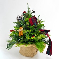 포켓플라워 생화 크리스마스 트리 세트, 혼합색상