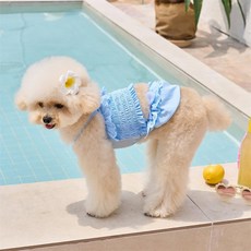 Puppy Dream 狗狗 Lena 抓皺蕾絲細肩帶平口泳裝 10036, 1個, 藍色