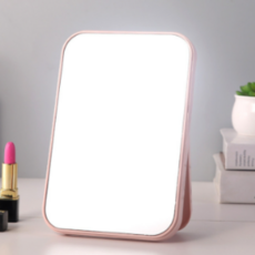 휴대용 거울 대형, 핑크