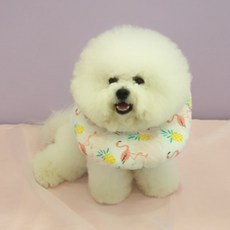 그레이모던 방수 경량 반려동물 넥카라 상큼홍학 L, 88g, 1개