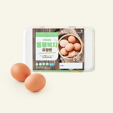 한스팜 동물복지 인증 대란 780g, 1개, 15구