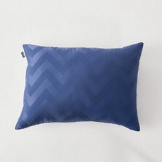 라뽐므 데인티 알러지케어 베이직 베개솜, 네이비, 1개