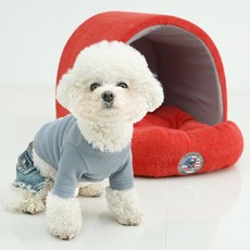 Red Puppy Pets France A Eagle House, 紅色