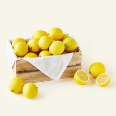 제이드가든 유기농 인증 제주 레몬, 3kg, 1개