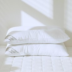 Lucidsleep 拉鍊型頸椎支撐棉枕芯, 2個, 白色