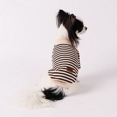 DING DONG PET 寵物條紋大學T恤, 棕色