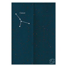 Ahope 流星隔間門簾, Type 01