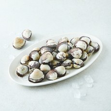 꼬막 특대 (냉장), 1개, 1kg