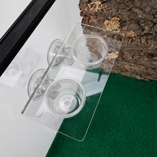 Lemongcreef 壓克力爬蟲類睫角守宮附著式雙格餵食器, 透明, 1個