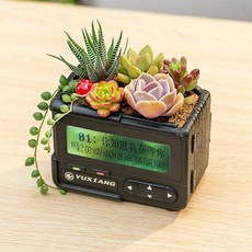 The Flow Commerce 經典收音機造型室內裝飾園藝多肉植物迷你花盆, A綠色, 1個