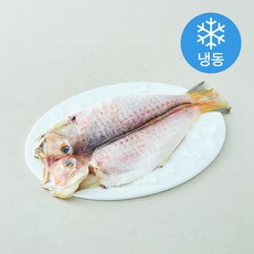 본디드림 제주용암해수 참옥돔 (냉동), 1개, 450g