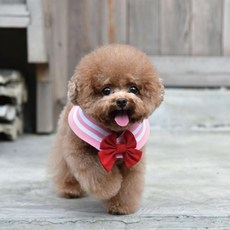 ZAZAZOO 萌少女戰士水手領巾 + 蝴蝶結 小兔款, 粉紅色 + 紅色, 1組