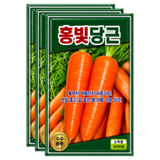 씨앗팜 홍빛 당근씨앗 1500립, 3개