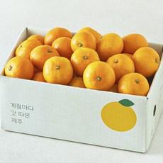 깨비농원 감귤, 1박스, 1.5kg(소과)