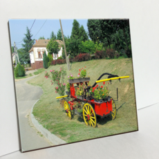 HTP 花籃瓷磚 C1298