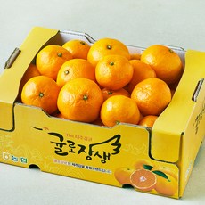 귤로장생 GAP 인증 당도선별 10brix 감귤, 3kg(랜덤과), 1개