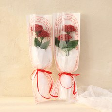 센트바스켓 조화 라운드 카네이션 비누꽃 두송이 꽃다발, 블랙체리, 2개