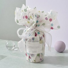 모던앳 선물포장 패턴 색화지, 도트, 20개