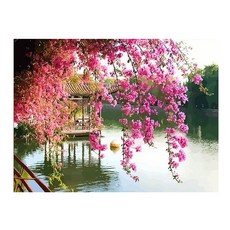 포픈 유화그리기 40 x 50 cm, 조용한풍경, 1개