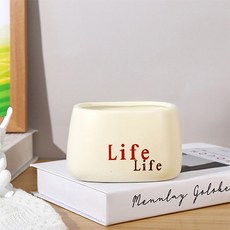 더플로우커머스 모던한 라이프 인테리어 장식 꽃 화분, 아이보리