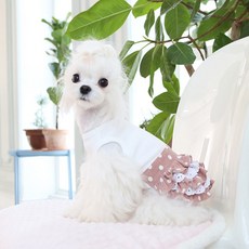 REDPUPPY 寵物Lovely Kong Kong圓點洋裝, 粉紅色