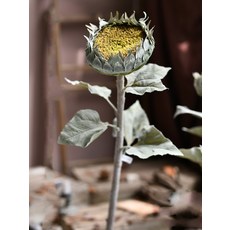 GAPANG 乾燥花 02號 DRYE034, 黃色