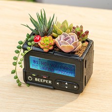 The Flow Commerce 經典收音機造型室內園藝多肉植物迷你花盆, B藍色, 1個