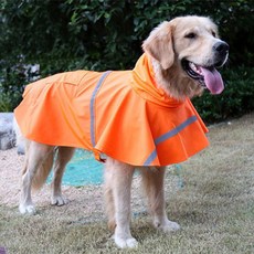 Ding Dong Pet大型犬雨披雨衣, 橘子