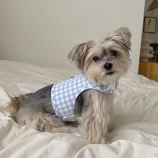 Bonjour Toutou 狗狗孔眼格紋胸背帶套組, 1套, 天藍色