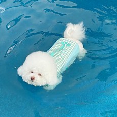 RITOGATO 狗狗棒棒糖救生衣, 薄荷綠