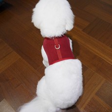 디자인사노 반려동물 바디핏 이지핏 코듀로이 모던 하네스, 레드, 1개