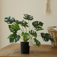 BeautifulDecoSense 人造龜背芋盆栽, 1個, 綠色