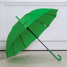 CARPEDIEM Smart Color 自動長傘