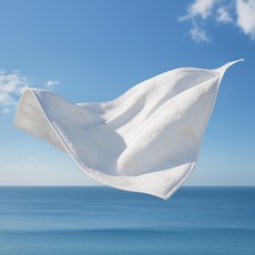 bareumom 兒童用 Duraron 海豚圖案涼感墊, 白色 + 米色, 1個