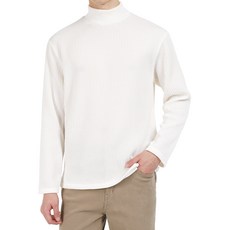 DAKUANG 男款冬季高領T恤 每週穿搭坑條半高領針織衫 C11C4_tn2415