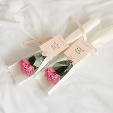 아스파시아 플르 카네이션 메시지 비누꽃 한송이 꽃다발 세트, 핑크(꽃), 존경하는 선생님 감사합니다(카드), 2세트