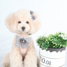 POP PUPPY Cotton Mary 寵物項鍊髮夾組 S, 灰色, 1套