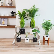 Bandi 不鏽鋼階梯式花盆整理架, 白色, 3層